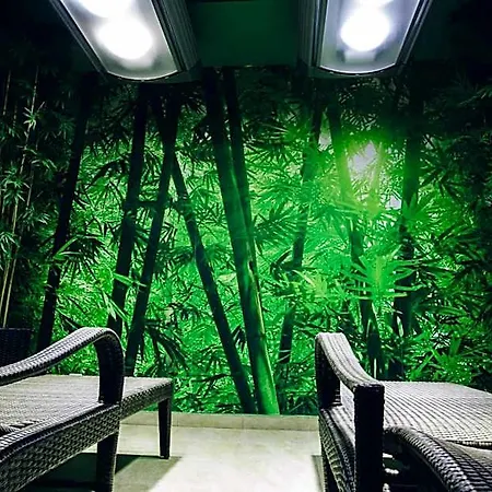 酒店 论坛健身水疗及健康酒店