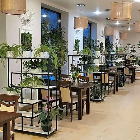 酒店 论坛健身水疗及健康酒店 3*