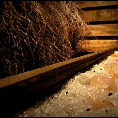 论坛健身水疗及健康酒店