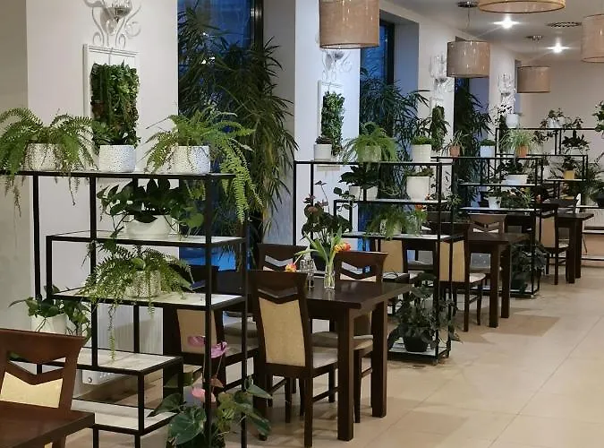 Forum Fitness & Wellness 3*