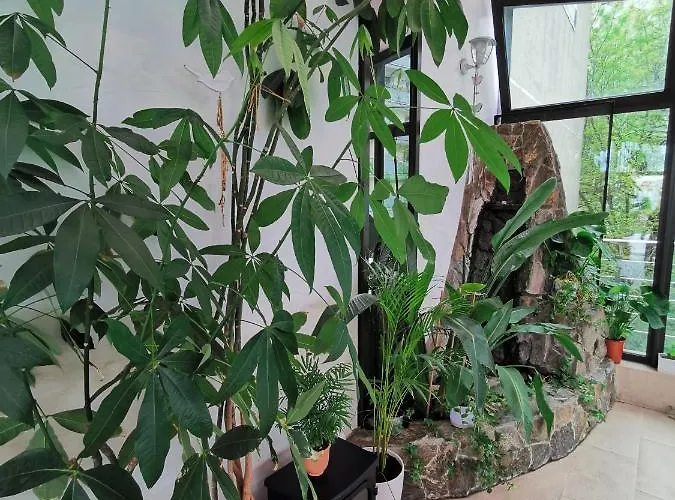 Hotel Forum Fitness & Wellness 3*