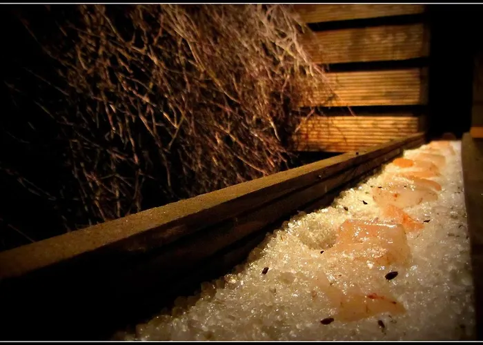 Forum Fitness & Wellness